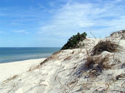 Wakacje z Jogą - Smołdzino