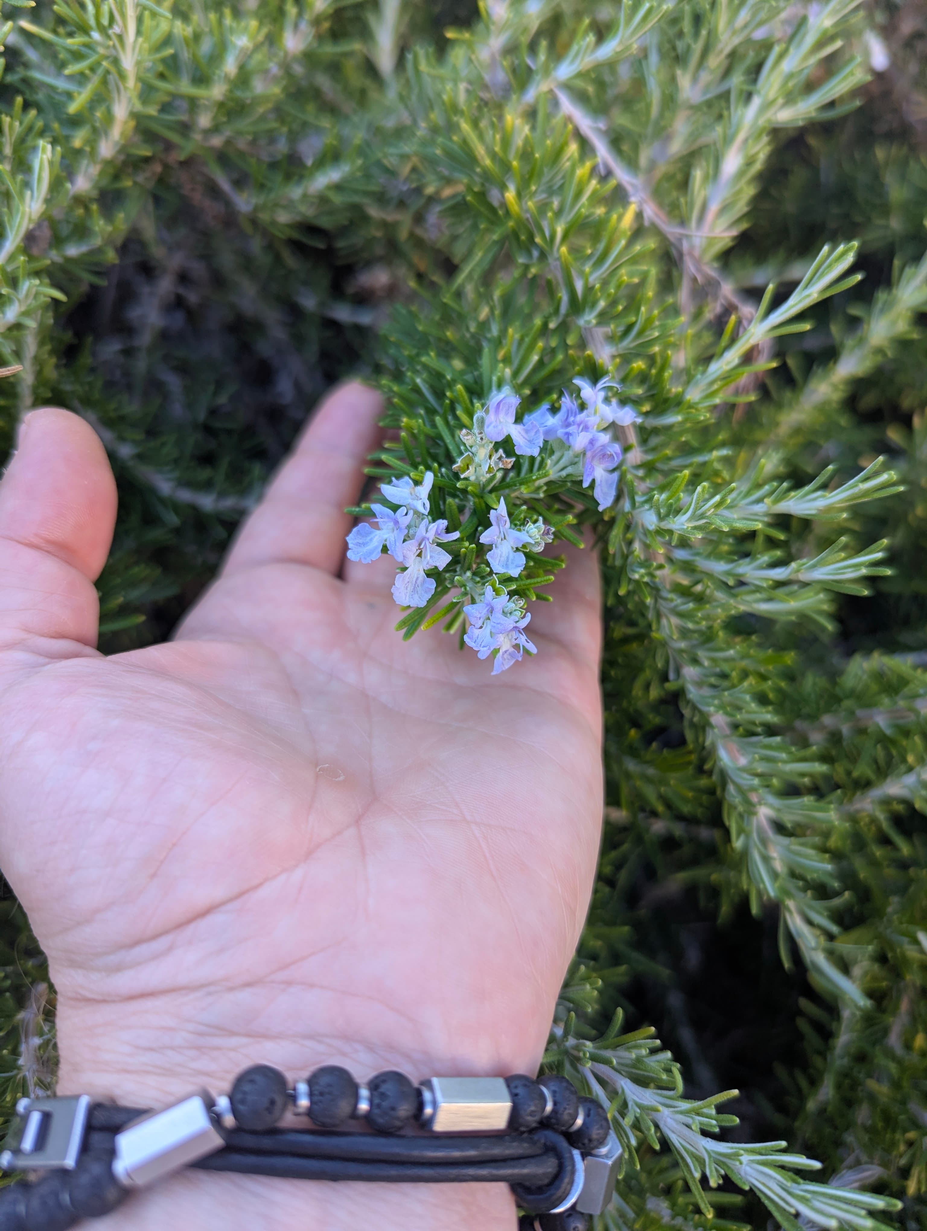 6-dniowe wakacje z jogą i wodospadami w Vallemaggia, Ticino